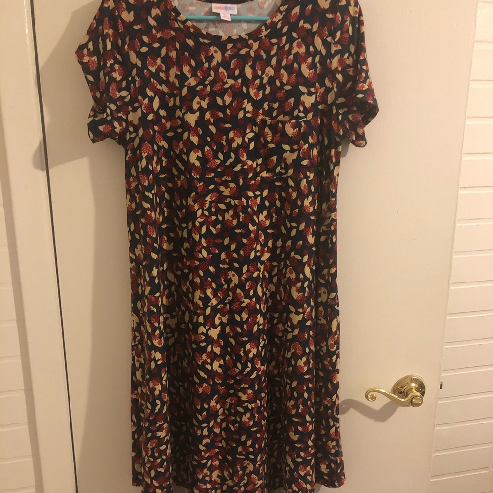 S Carly Lularoe